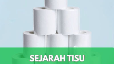 Sejarah Tisu_Evolusi Tisu